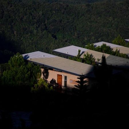 Pino Latte Resort And Hotel Ban Huai Phai Luaran gambar