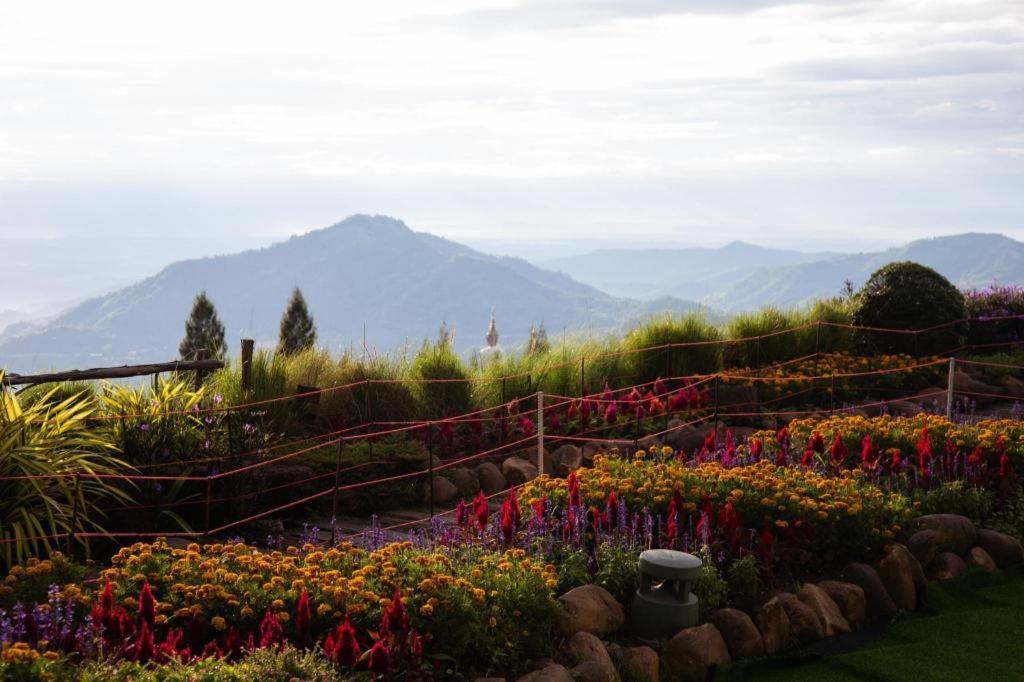 Pino Latte Resort And Hotel Ban Huai Phai Luaran gambar
